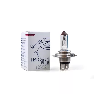 M-TECH Halogén izzó PX43t HS1 12V/35/35W - Z75